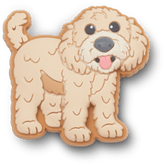 Women / Men Crocs - b'Golden Doodle Puppy Jibbitz Shoe Charm'