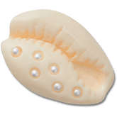 Women / Men Crocs - Pearl Puka Shell Jibbitz™ charms