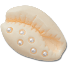 Women / Men Crocs - Pearl Puka Shell Jibbitz™ charms