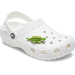 Women / Men Crocs - 3D Green Dino with Scales Jibbitz™ charms