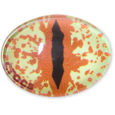 Women / Men Crocs - Hazel Animal Eye Jibbitz™ charms