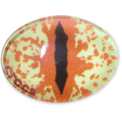 Women / Men Crocs - Hazel Animal Eye Jibbitz™ charms