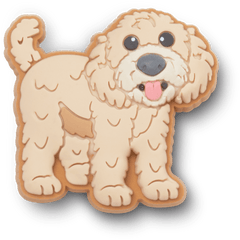 Women / Men Crocs - b'Golden Doodle Puppy Jibbitz Shoe Charm'