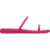 Dragon Fruit