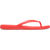 Starfish